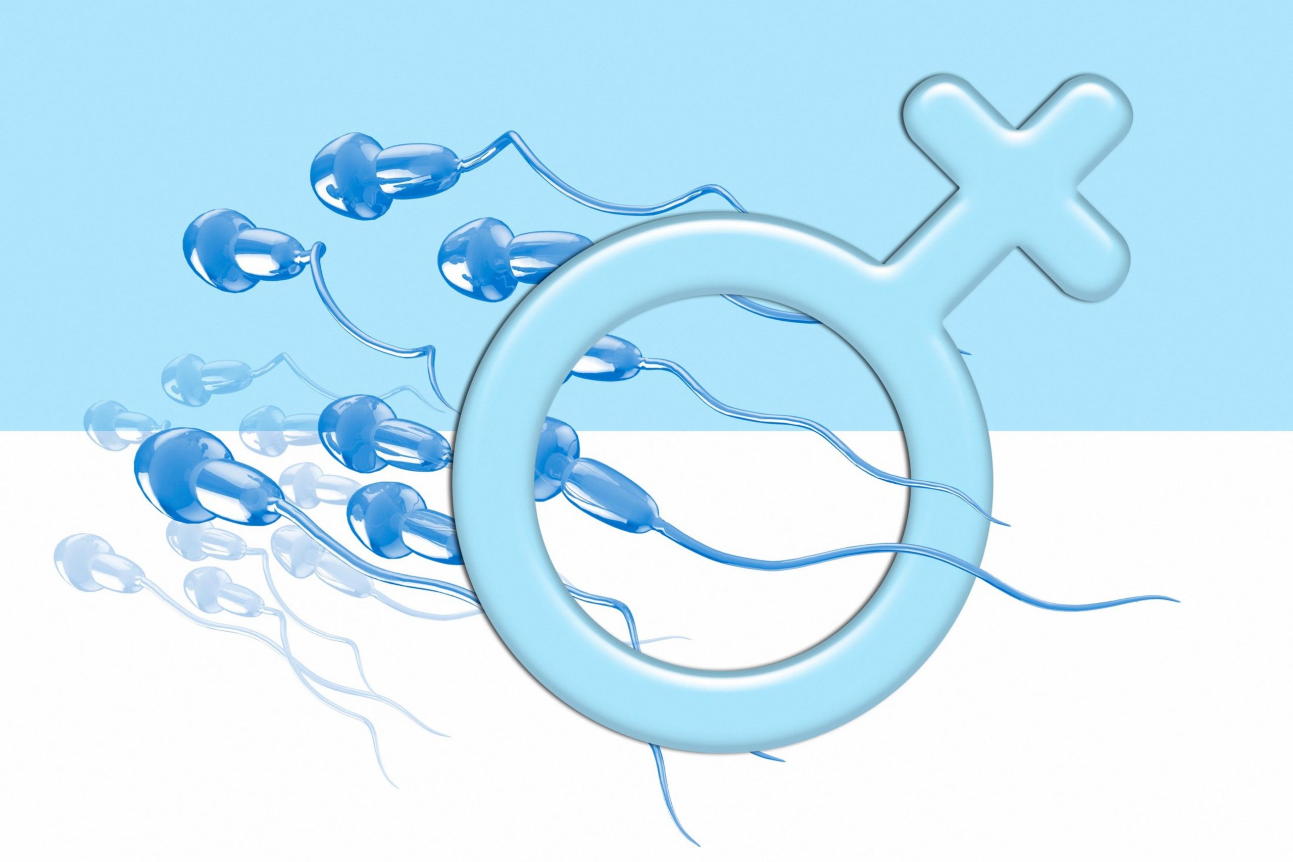Illustration of sperm health affected by low testosterone